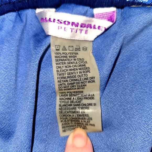 Allison Daley Medium Petite MP PM Women's  Blue Pleated Skirt Miss Size 8P 10P - Picture 3 of 5